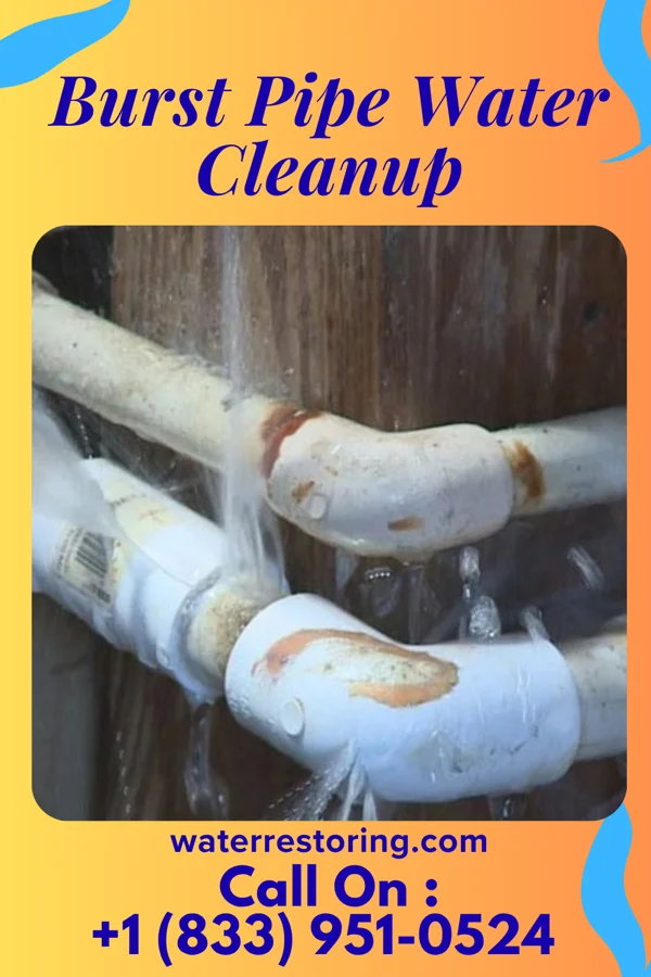 Burst Pipe Water Cleanup in Wheelwright, KY