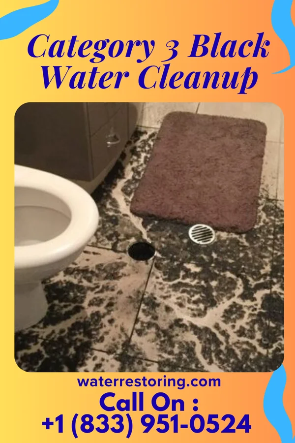 Category 3 Black Water Cleanup in Wheelwright, KY