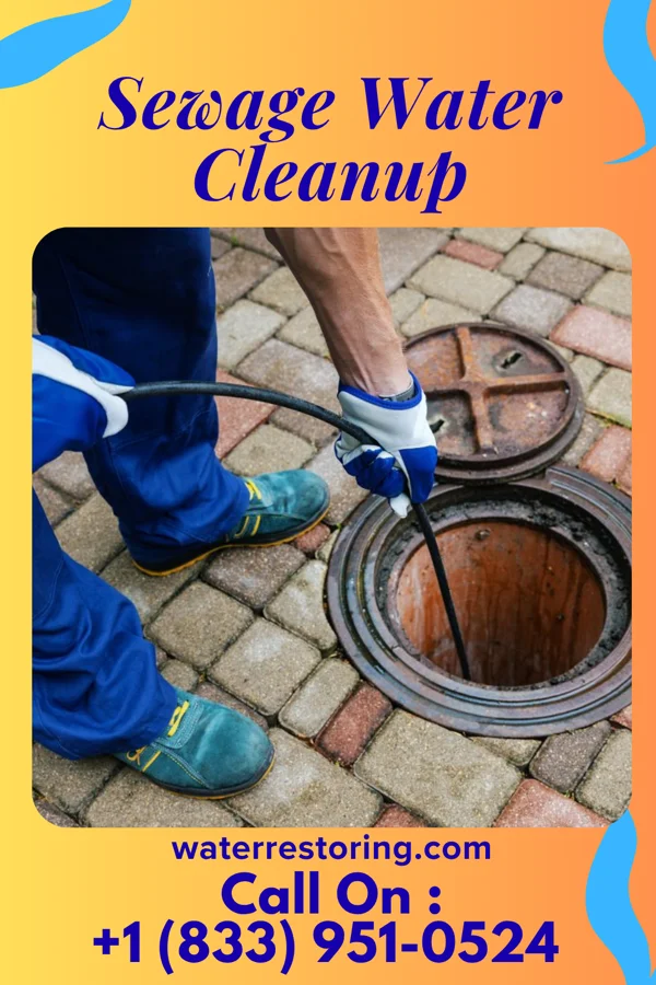 Sewage Water Cleanup in Wheelwright, KY